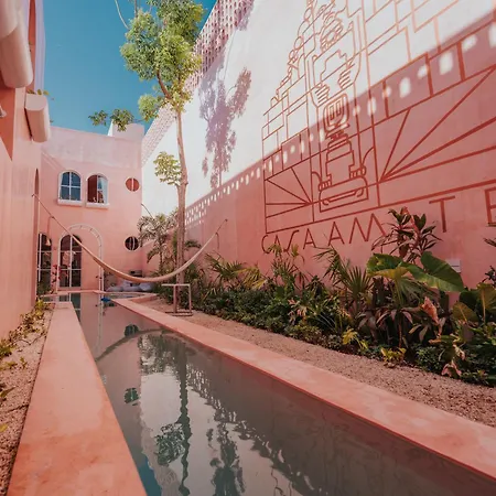 Casa Amate 61 - Merida Centro-2